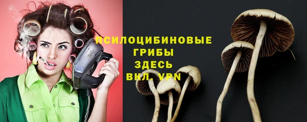 ALPHA-PVP Богданович