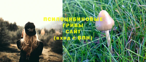 амф Богородицк