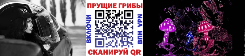 Псилоцибиновые грибы Cubensis  Купить где  Омутнинск 